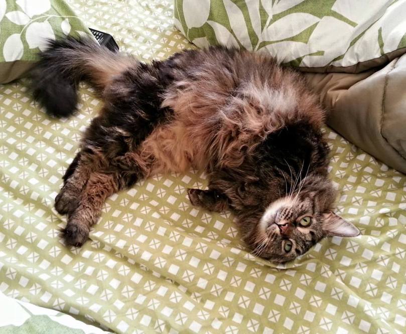 1795509_10100623967790355_260840011_n