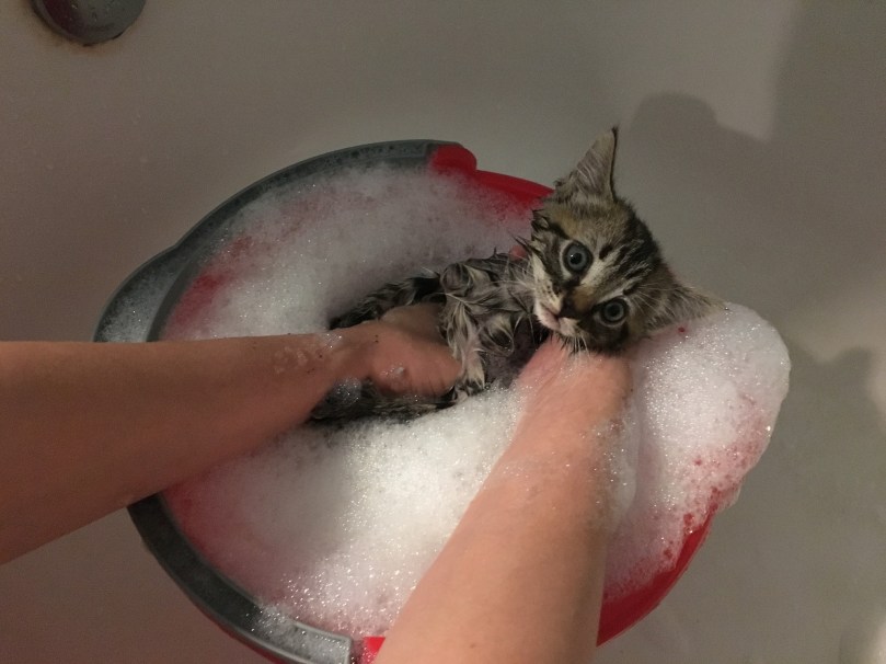 download_20160807_225204