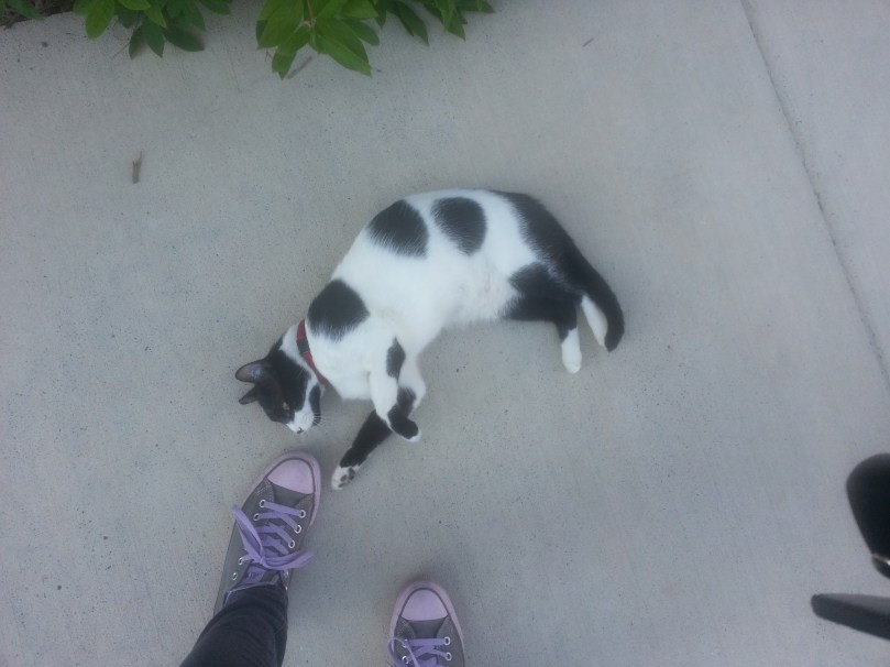 3569743457453037508-account_id=1