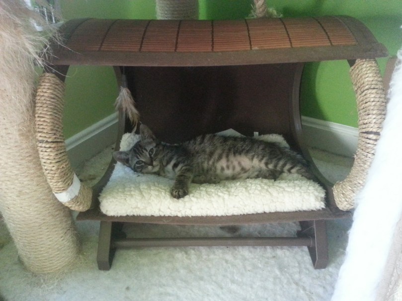 5884944263784704620-account_id=1