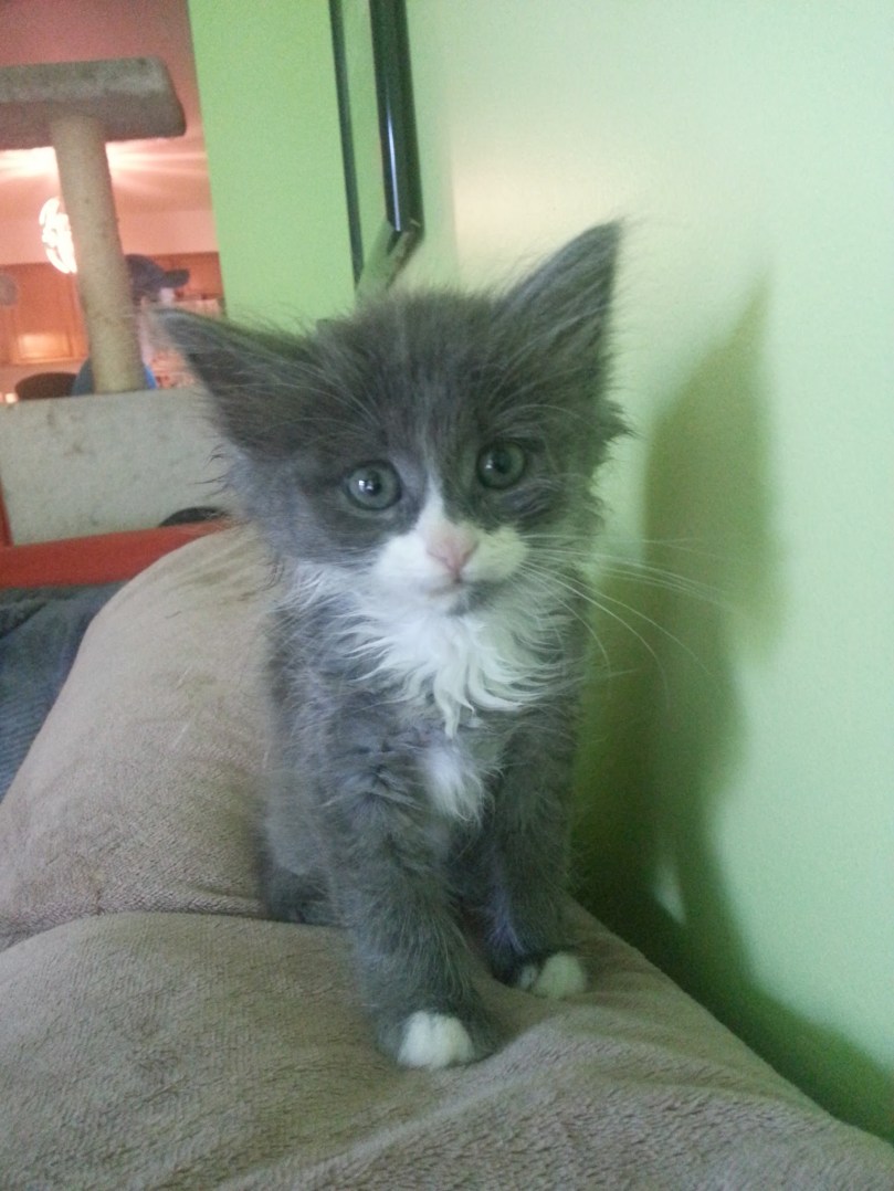 8729037760015262801-account_id1