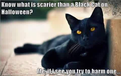 14666312_1119531948083784_973266836140970691_n