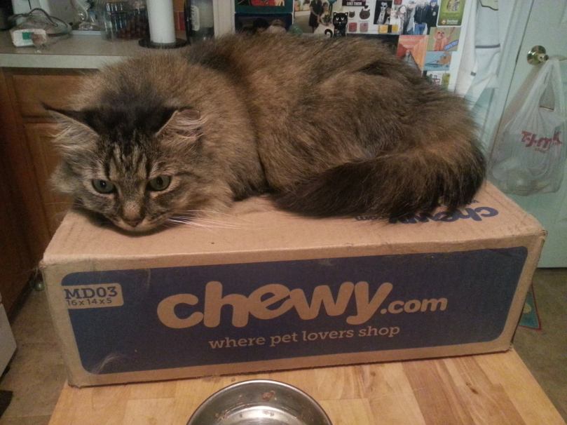 13517481_10101499857689975_6826760509439492430_o